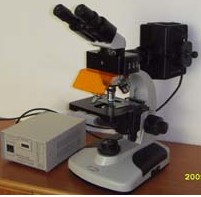ZA-2002H落射荧光显微镜