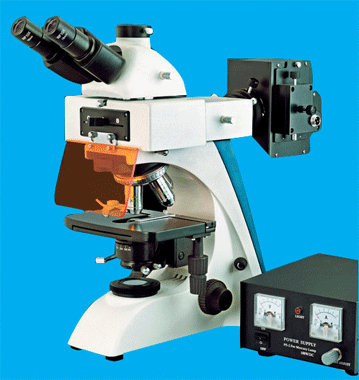 BK-FL4-TR型三目荧光生物显微镜