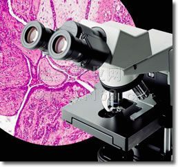 CX31型生物显微镜