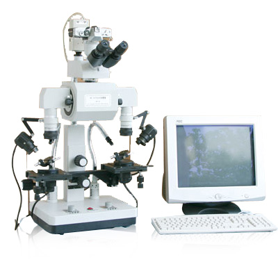 WBY-6B比较显微镜