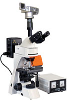 SA3000三目荧光显微镜