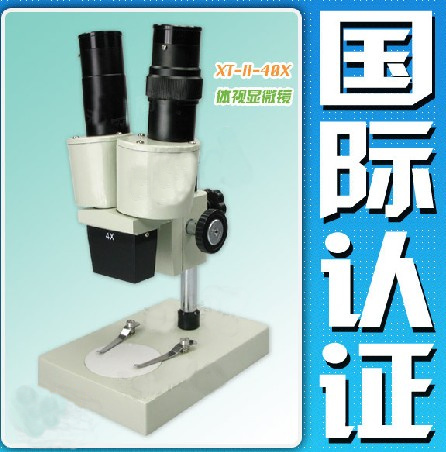 XT-III-80X体视显微镜