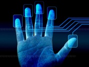 指掌纹自动识别系统